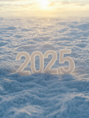 2025ѩ���ϵ�����