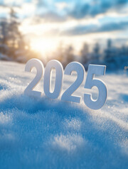 2025��������ͼƬ
