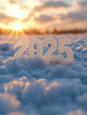 2025��ɫ���屳��
