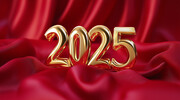 2025���걳���ز�