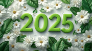 2025������Ϣ����ͼƬ
