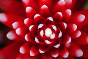 ˮ����ͼƬ