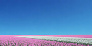 ���컨��ͼƬ�ز�����