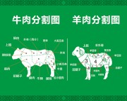 ţ��ָ�����ָ�ͼƬ����