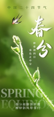 ��ʮ�Ľ������ֹ��