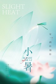 ��Լ�ɻ�����С��������