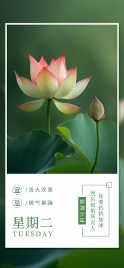 �簲�����ǩ����