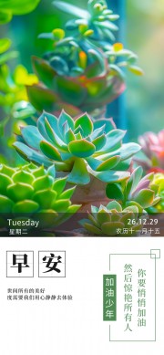 �����簲�����ǩ����