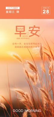 ��ǩ�簲����ͼƬ