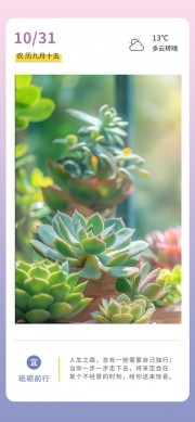 �簲��ǩ����