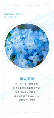 �簲��¼��ǩͼƬ�ز�