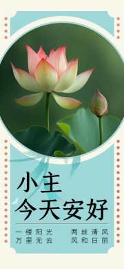 �����簲��ú���ͼƬ