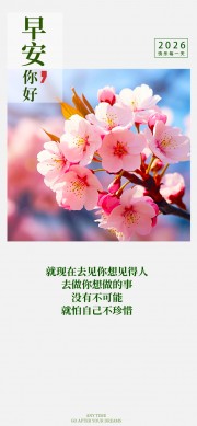 �簲����ʺ�ͼƬ