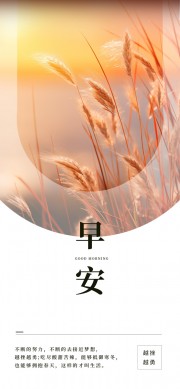 �簲�羰��ǩ����ͼƬ