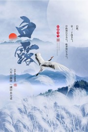 ��¶����չ�庣������
