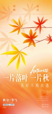һƬ��ҶһƬ����ֹ��