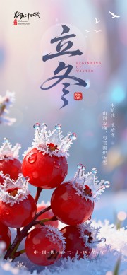 ɽ��������������������