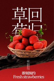 ���ʲ�ݮˮ����������