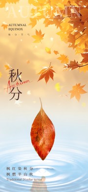 ��Ҷ������ֽ�������