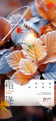 ˪����������ͼƬ����ز�