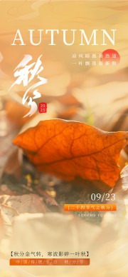��ʮ�Ľ�����ֺ���ͼƬ�ز�