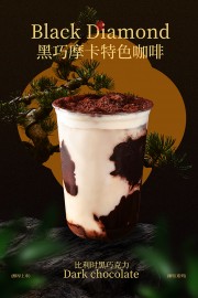 ����Ħ����ɫ������������