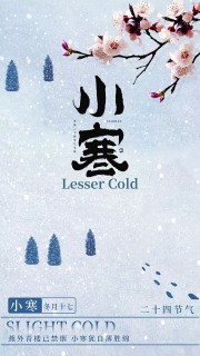 С����������ͼƬ�ز�����