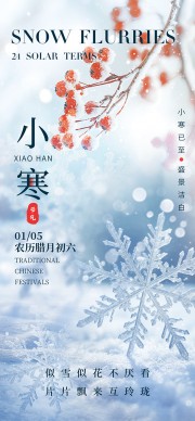 ѩ���廭С����������