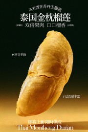 ̩�����������ڿ�����ˮ������ģ������