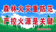 ɭ�ֻ��ַ���������������