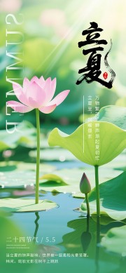 立夏节气宣传荷花海报图片