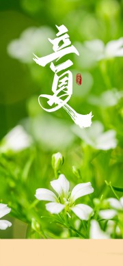 立夏中国传统节气宣传海报设计