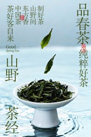 春季品茶茶叶海报图片