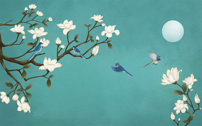 古风植物白玉兰花鸟儿插画海报背景