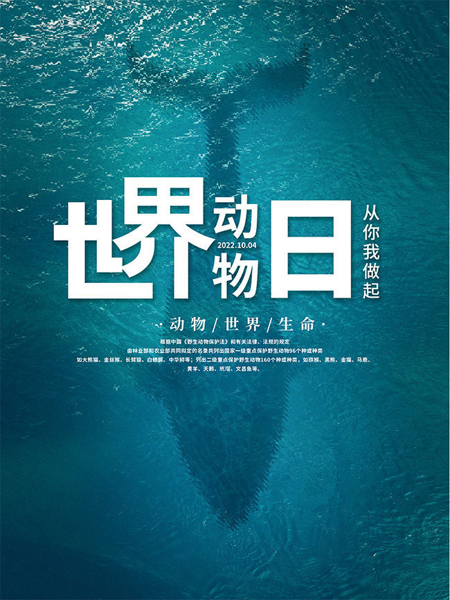 ���綯������������