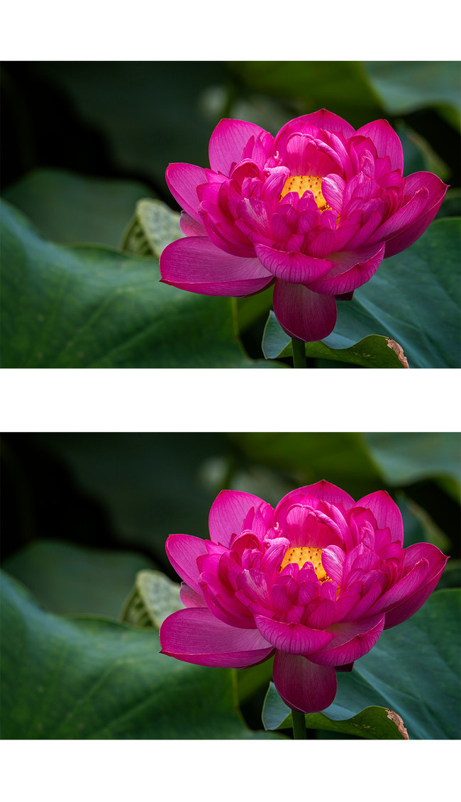 �ذ�ɻ�ͼƬ