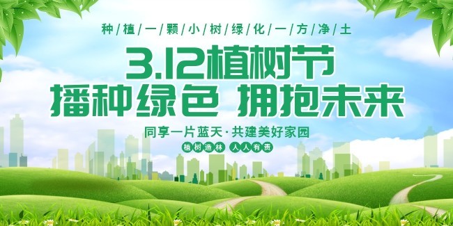312ֲ����������