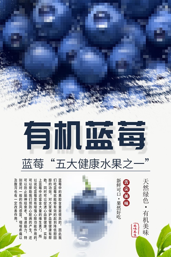 有机蓝莓水果店海报