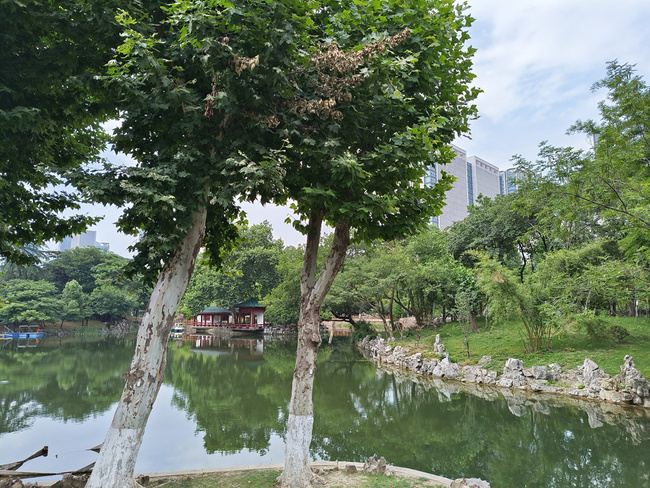 中山公园湖泊美景图图片