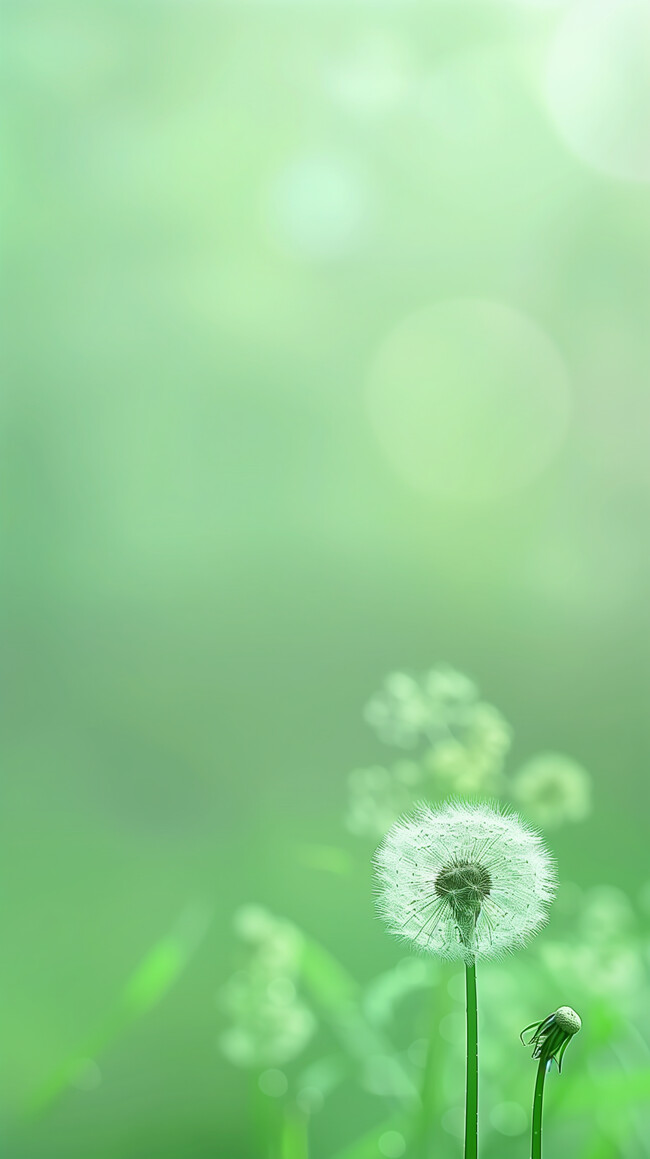 �����ѹ�Ӣ��ֽ