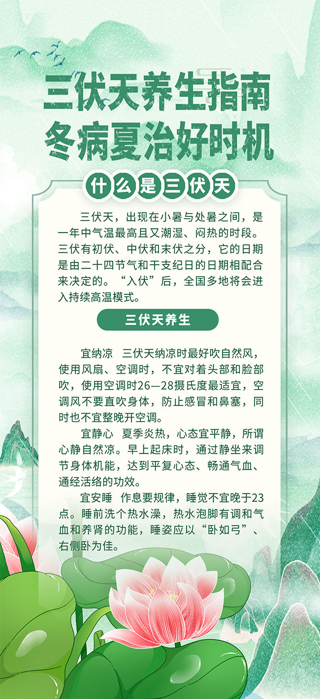 三伏天养生指南海报