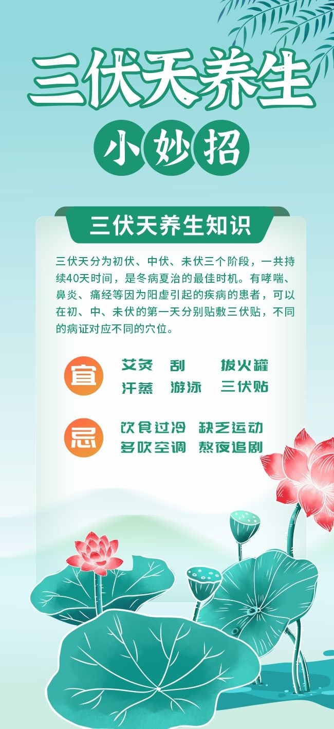 三伏天养生小妙招海报