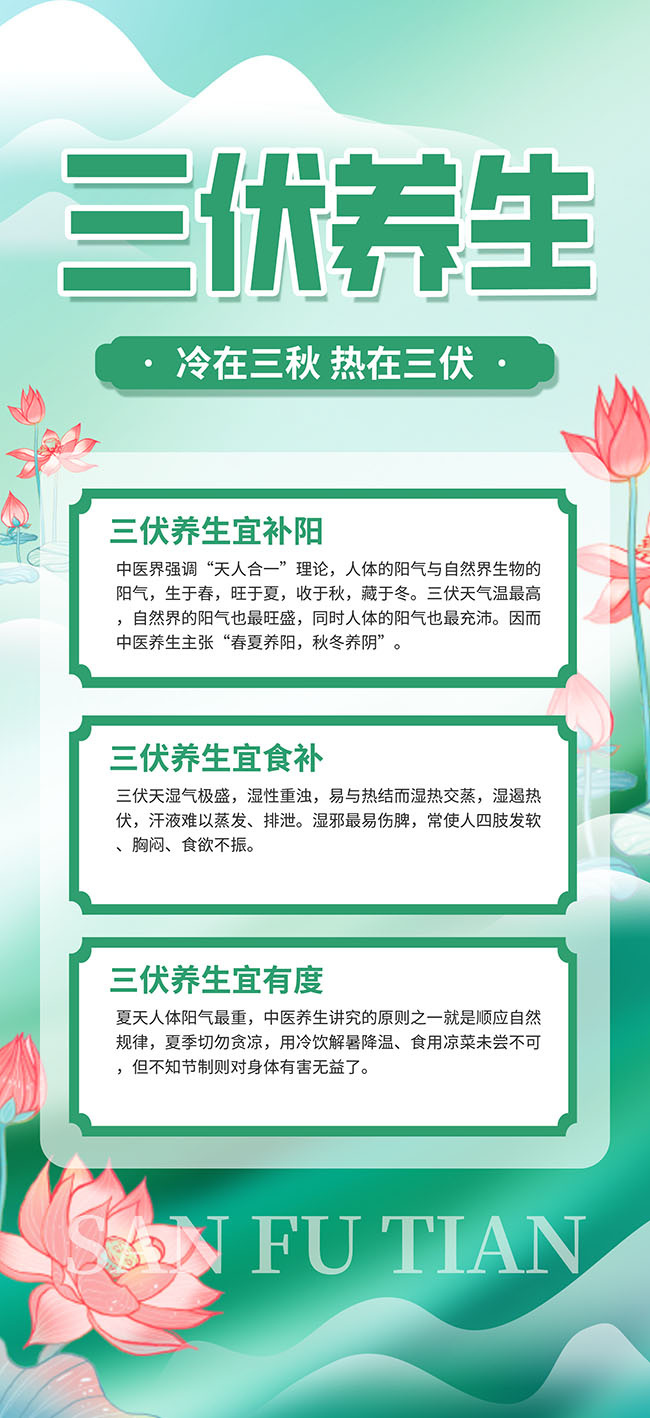 绿色夏季三伏天养生海报