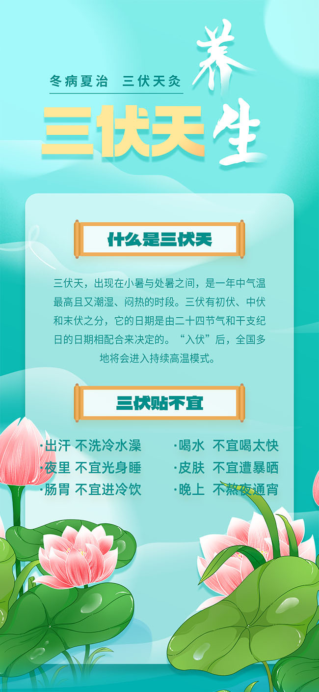 简约夏季三伏天养生海报