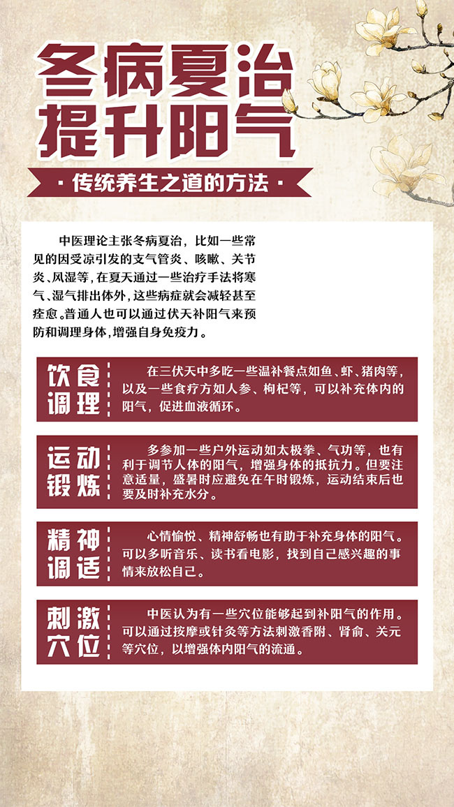 夏季三伏天养生海报