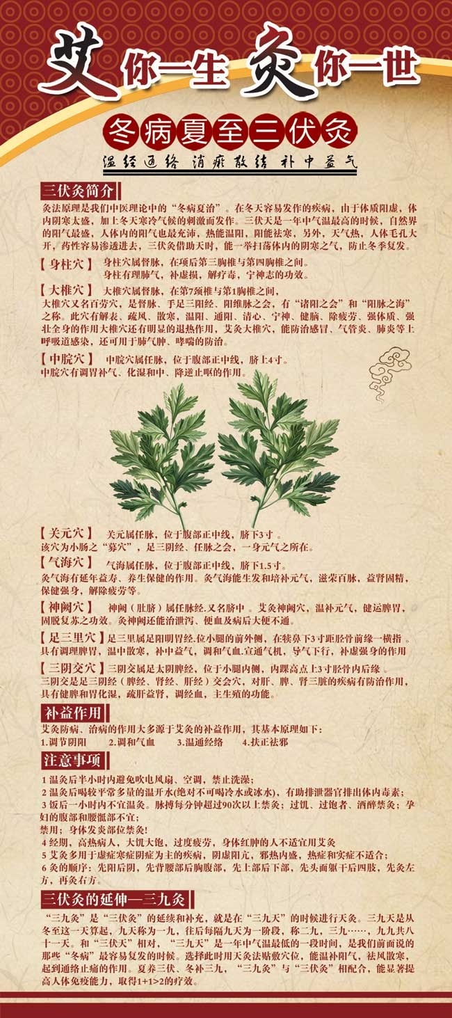 冬病夏治三伏灸展架
