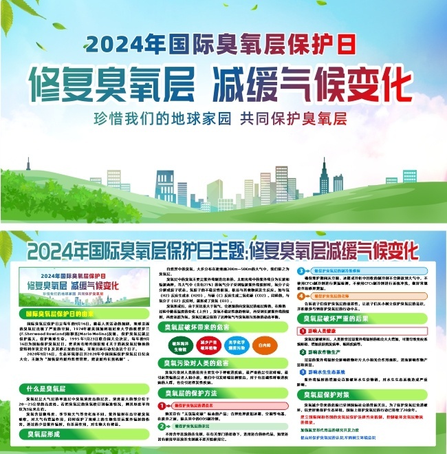 2024����ʳ����㱣��������չ��