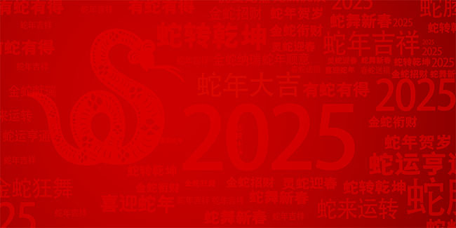 红色2025蛇年春节海报背景
