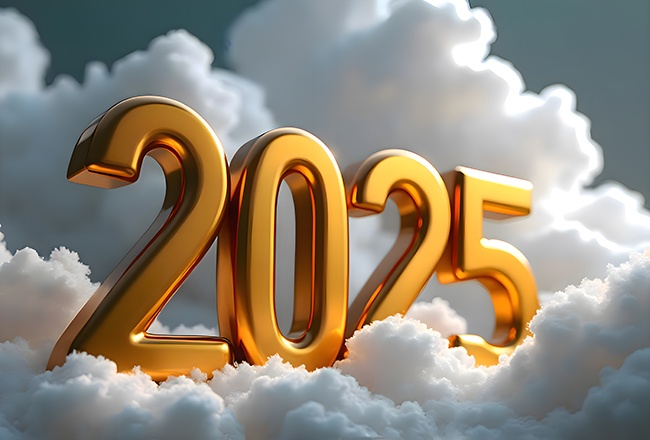 �ƽ�����2025