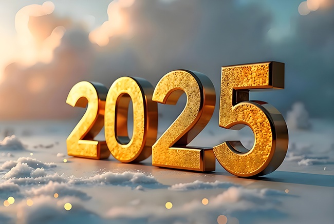 �����ʸ�2025����